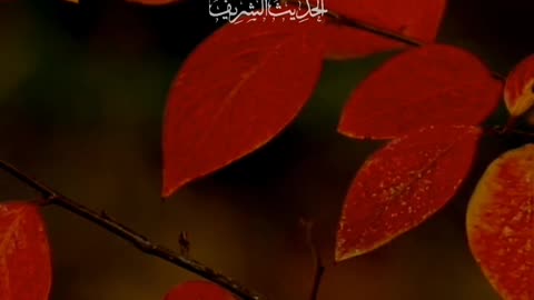 Hadees of the day #shorts #ytshorts #hadees