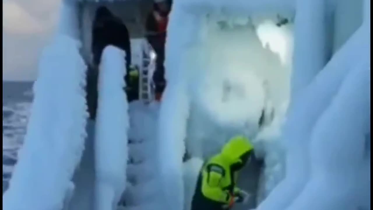 Interesting Video Compilation