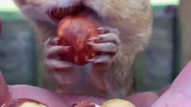 Boris you are such a sweet boy