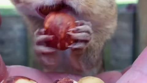 Boris you are such a sweet boy