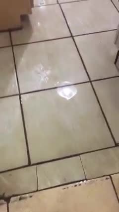 The abuse continues. 2ND FLOODING on Aug 13