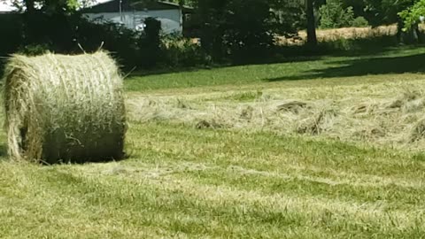 SPREADING AND BALING HAY