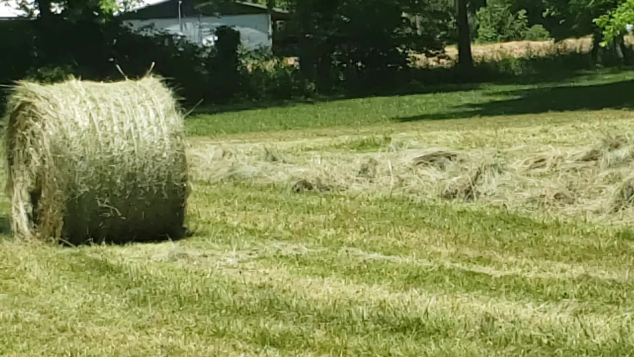 SPREADING AND BALING HAY