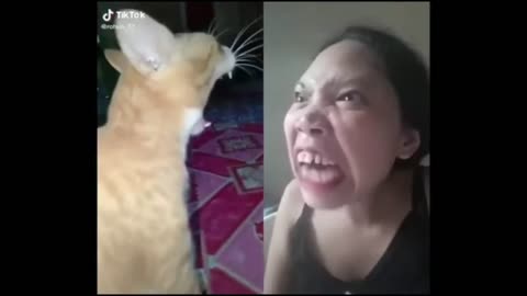 pinoy memes compilation #4 - pinoy funny 2021 _ #funnyvideos