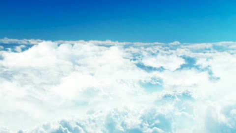 Sky and Birds