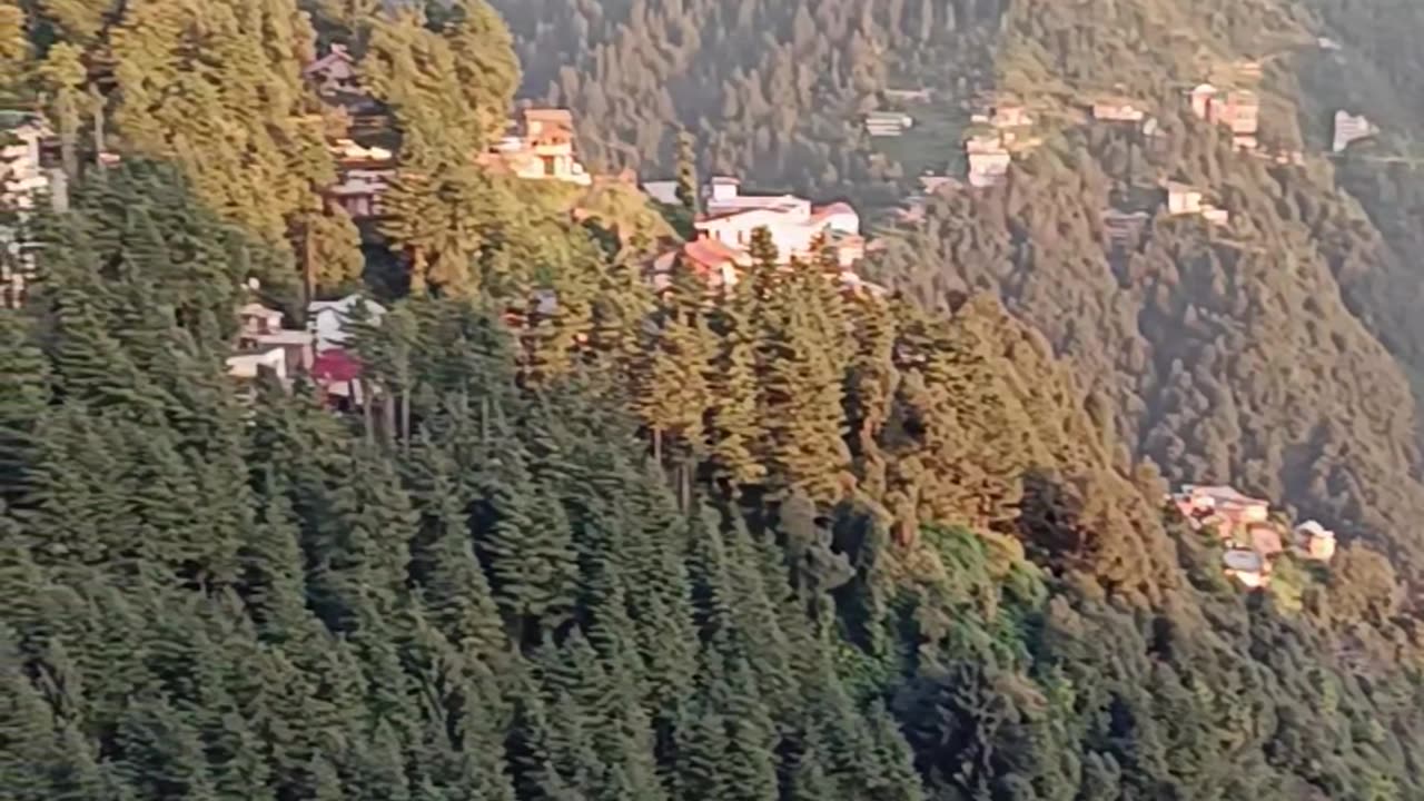 Mauj masti