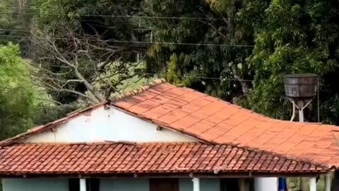 Como Parar de Reclamar ???