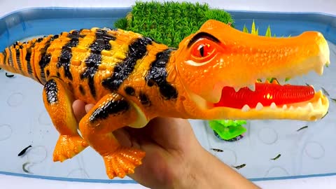 Cute Animals, Running Crocodile, Sharp Toothed Shark, Wolf Fish, Goldfish, Tiger Fish, Crab, Carp