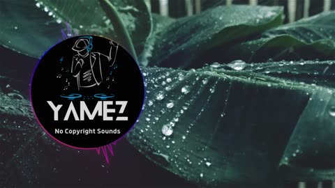 Cute Aesthetic Background Music for Videos No Copyright Music