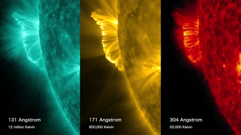 Anemone Eruption By Nasa