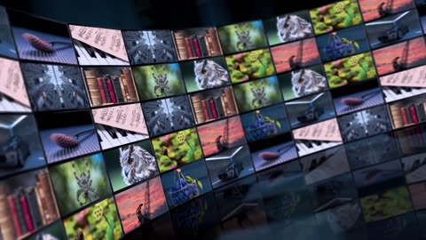 Pictures of Images You Want To Remember