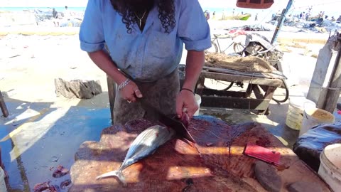 Skipjack Tuna Cutting Skills _ Fish Cutting Skills Sri Lanka