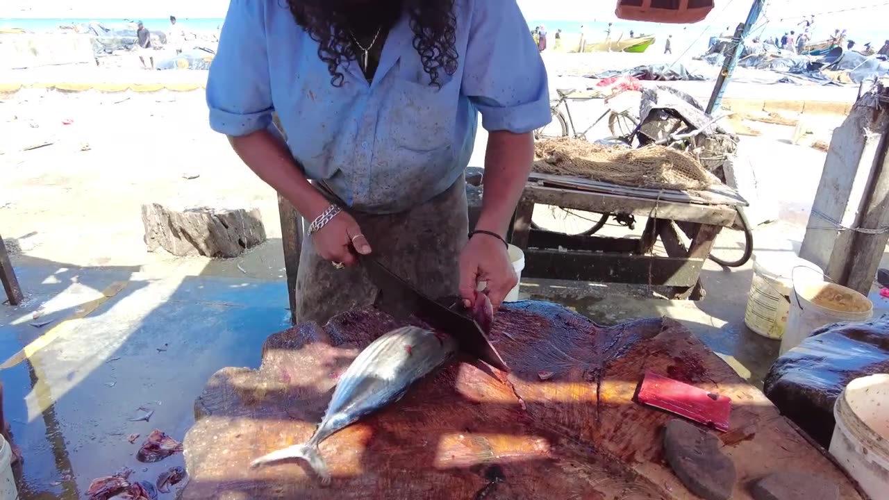 Skipjack Tuna Cutting Skills _ Fish Cutting Skills Sri Lanka