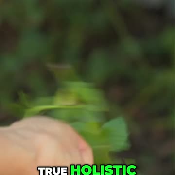 Balancing Western Medicine and Holistic Health Approaches