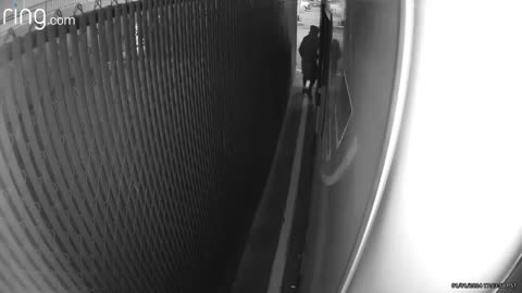 Fuse Ring Triggered Video 3 01/01/24 5:03 PM