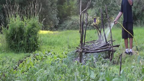 Gardening at Avery Park, Corvallis, Oregon