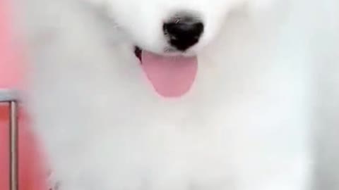 My name is Baymax. Nice to meet you.