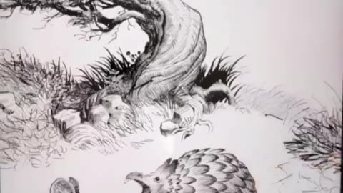 infinite drawing very hard work step by step | i am shocked