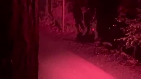 THE BOHEMIAN GROVE IS ERASING THIS FROM THE INTERNET SAVE THIS AND FLOOD THE WEB!