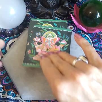 The Wild Offering #shorts