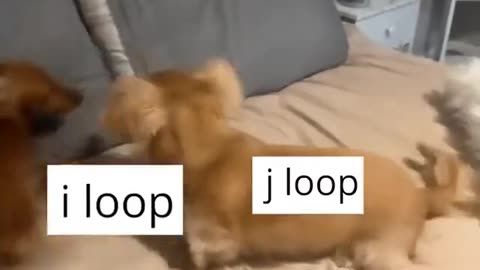 😅😅😅😅