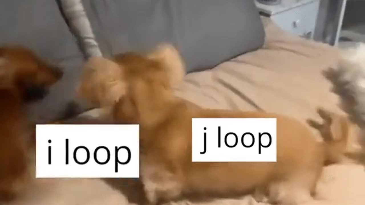 😅😅😅😅