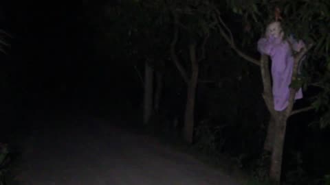 HORROR BEST SCARY GHOST PRANKS ON CRAZY MAN