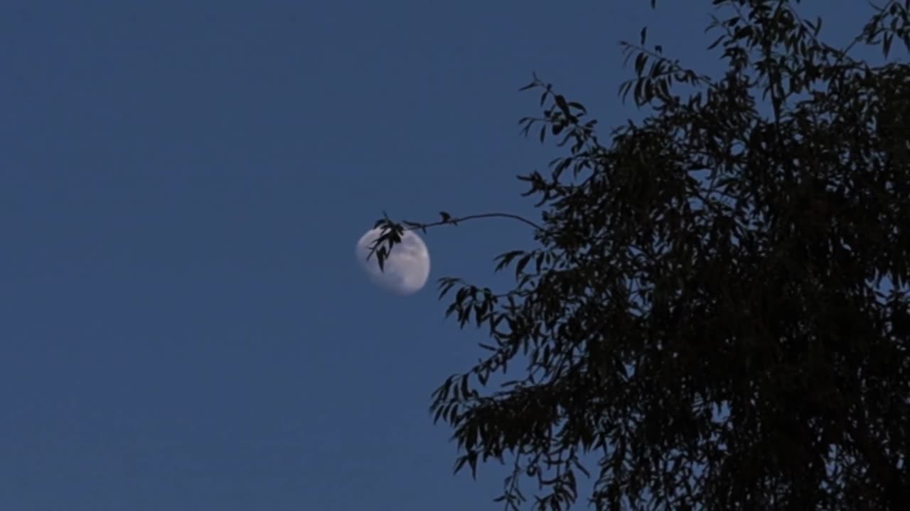 Seeing 2 Moons in the Sky 22/03/24
