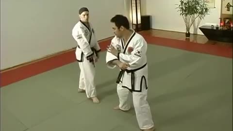 Hapkido