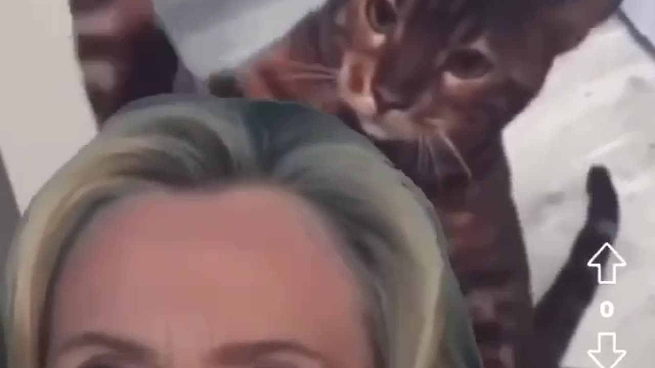 HILLARY GETS WELL EARNED 😛CAT SMACK
