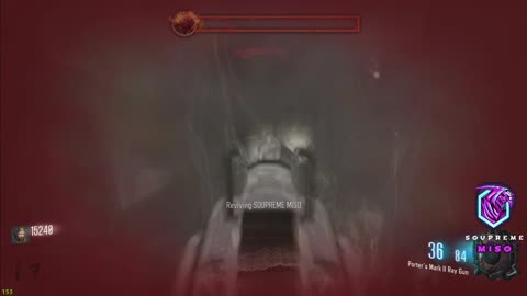 Bro Used A Max Revive