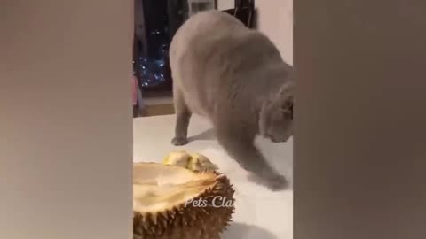 Watch it onlyfree time