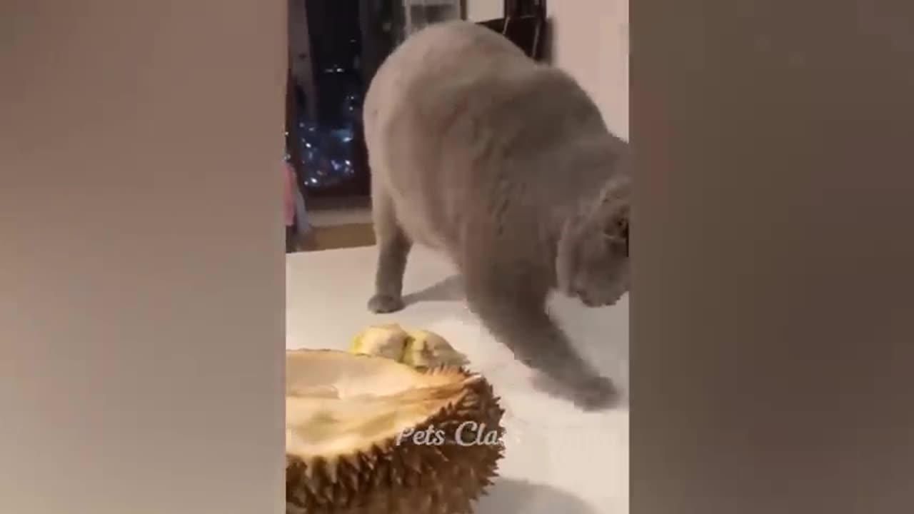 Watch it onlyfree time