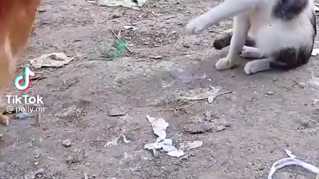 What this is