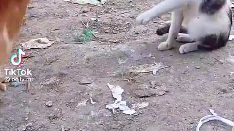 What this is
