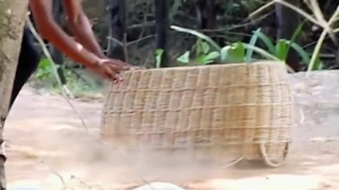 troll prank dog funny fake lion and funny tigerprank to dog huge box prank to dog