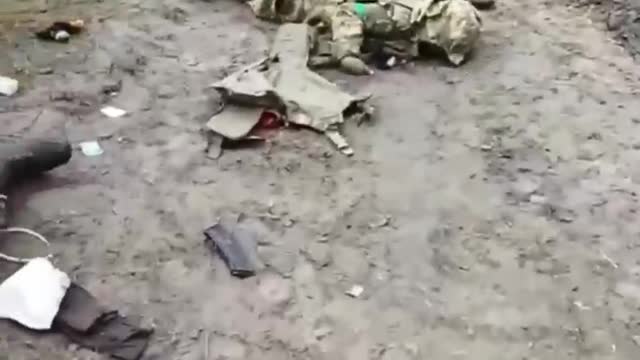 18+!!! Dead UkroNazis 🇺🇦