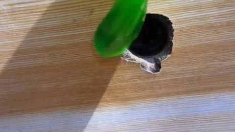 Dogs eat ice cream like this.