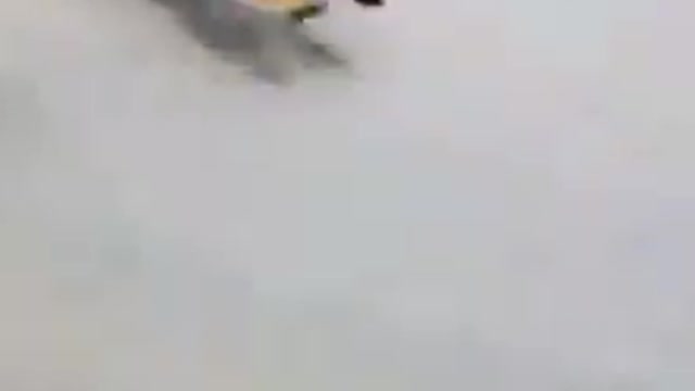 that guys get chasing by tiger while riding motorcycle