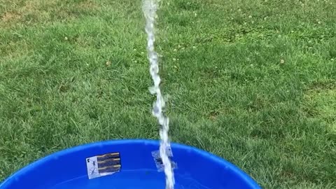 Water 💧 🐕 🛷 🐶 🦮