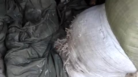 Captured positions of the Armed Forces of Ukraine by Russian paratroopers in the Kremennaya