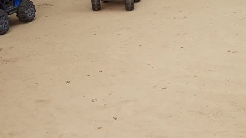Cute baby driving car