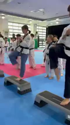Taekwondo