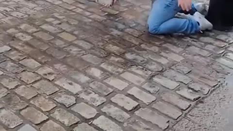 Mort de rire 🤣🤣