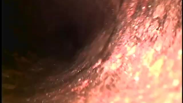 Peluso 38 Christopher St Montclair SEWER CAM