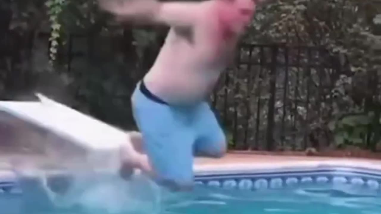 Funny Fails Shorts😂Try Not to Laugh Challenge Funny amimals Caught on Camera Meme YLYL TikTok Ep01