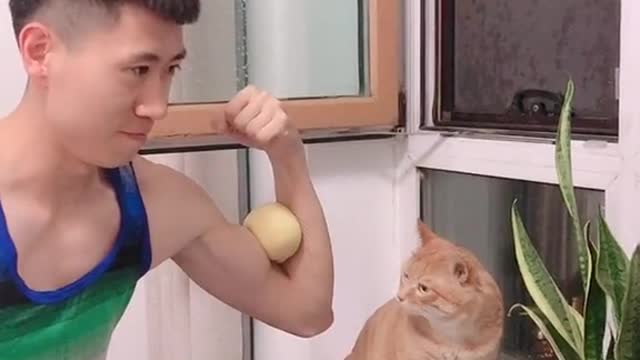 The cat these body structure feature, make it have a rat trap various superior conditions.