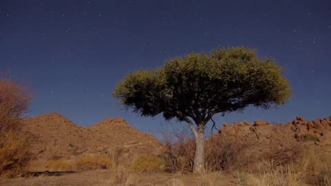Night Stars and Sky Time lapse Video of Africa