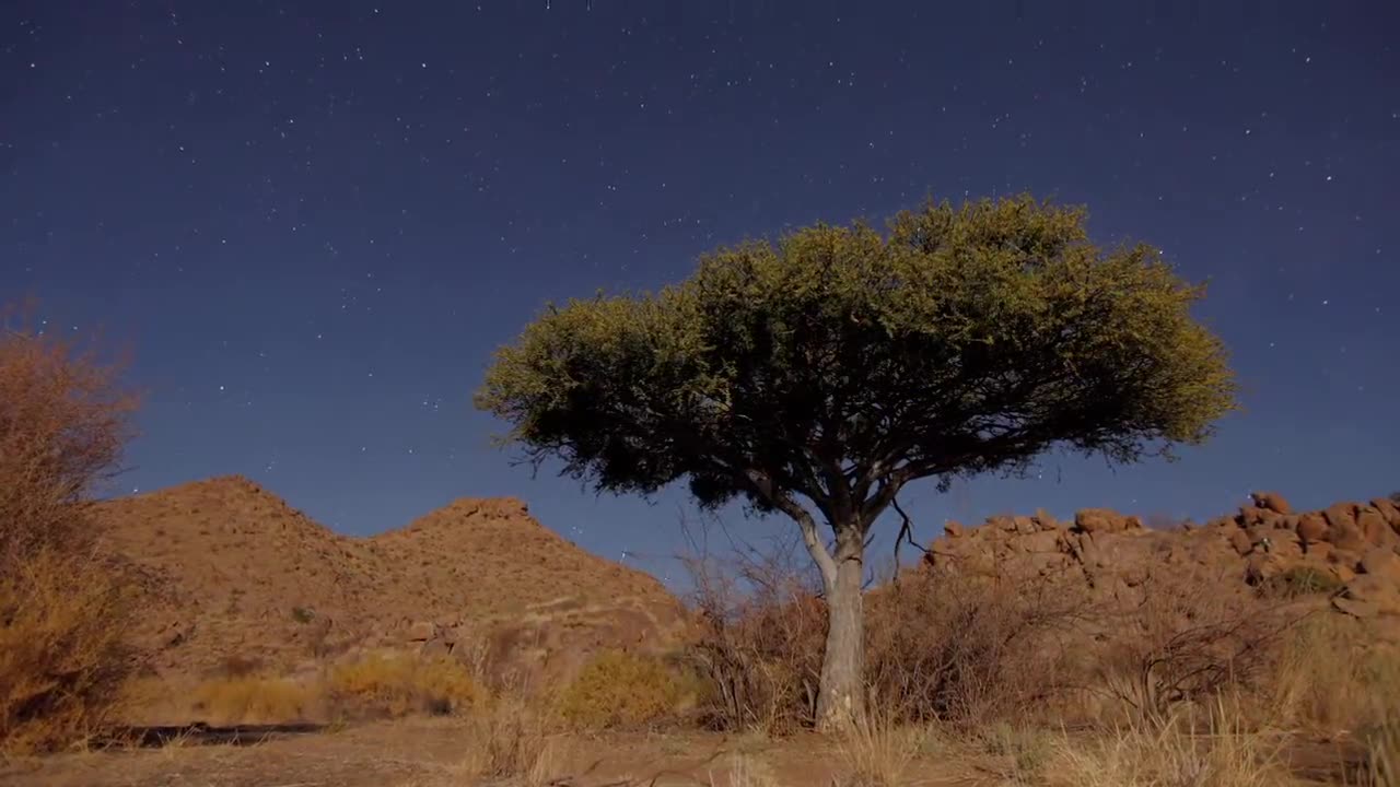 Night Stars and Sky Time lapse Video of Africa