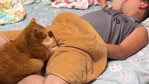 Funny Aminals #Animalviral #videoviral